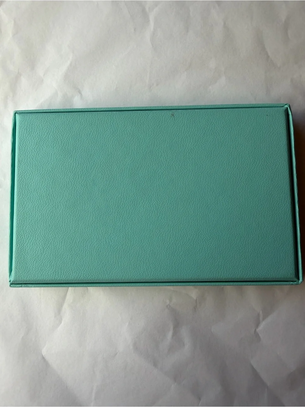 📘 TIFFANY & CO. POCKET DATE BOOK 📘 NWOT 📘